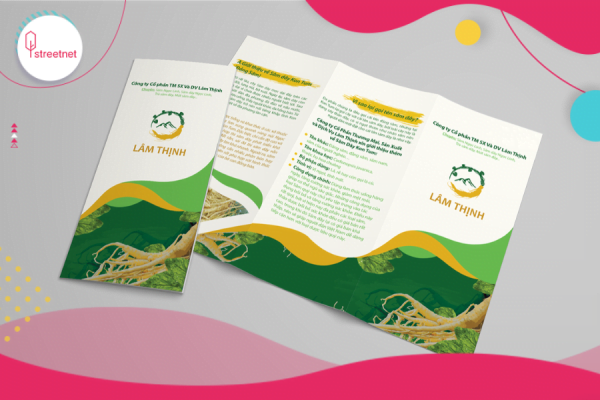 Dịch vụ thiết kế brochure Đà Nẵng | Streetnet Media