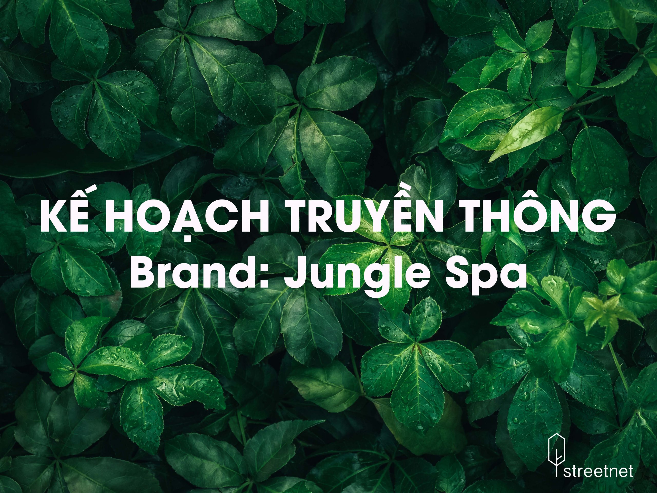 Kế hoạch Marketing cho Jungle Spa