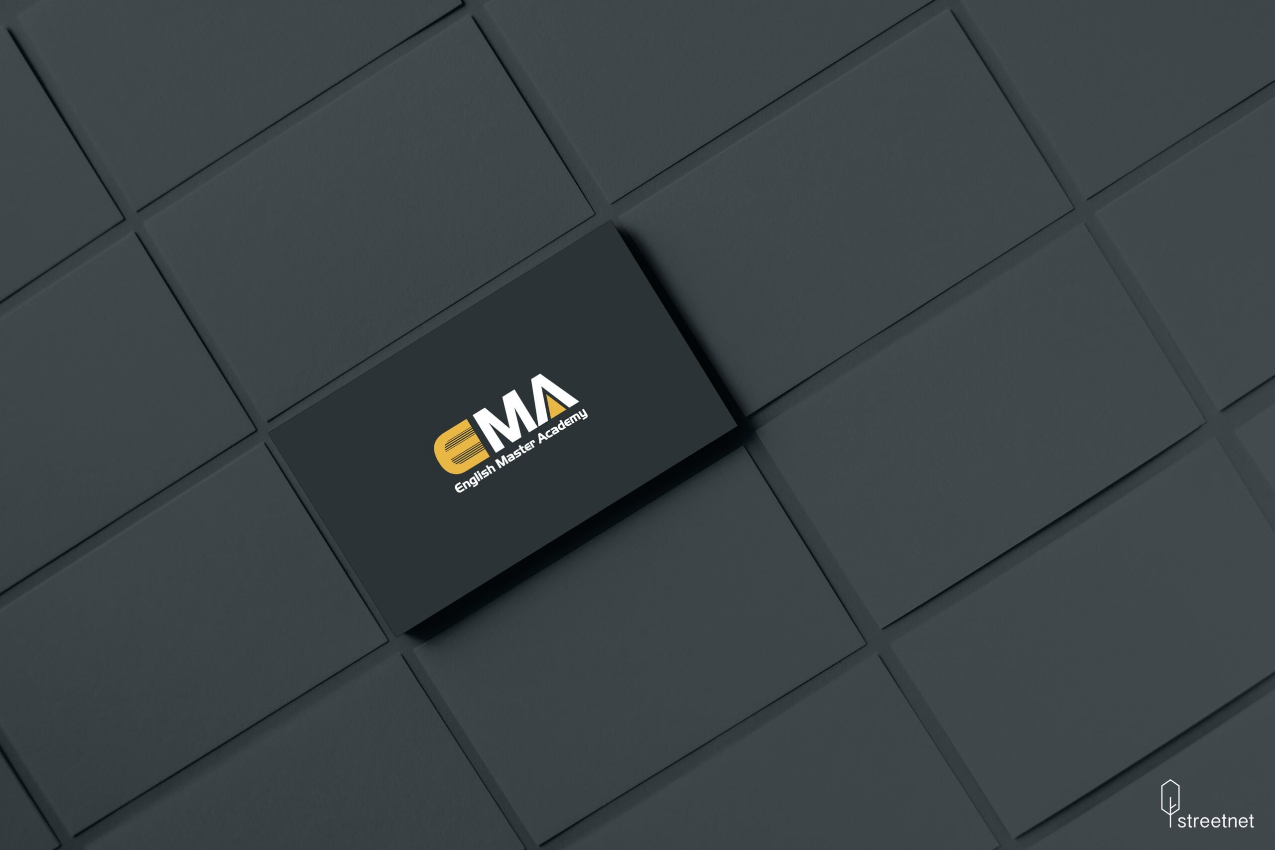 EMA logo duoc thiet ke boi Streetnet