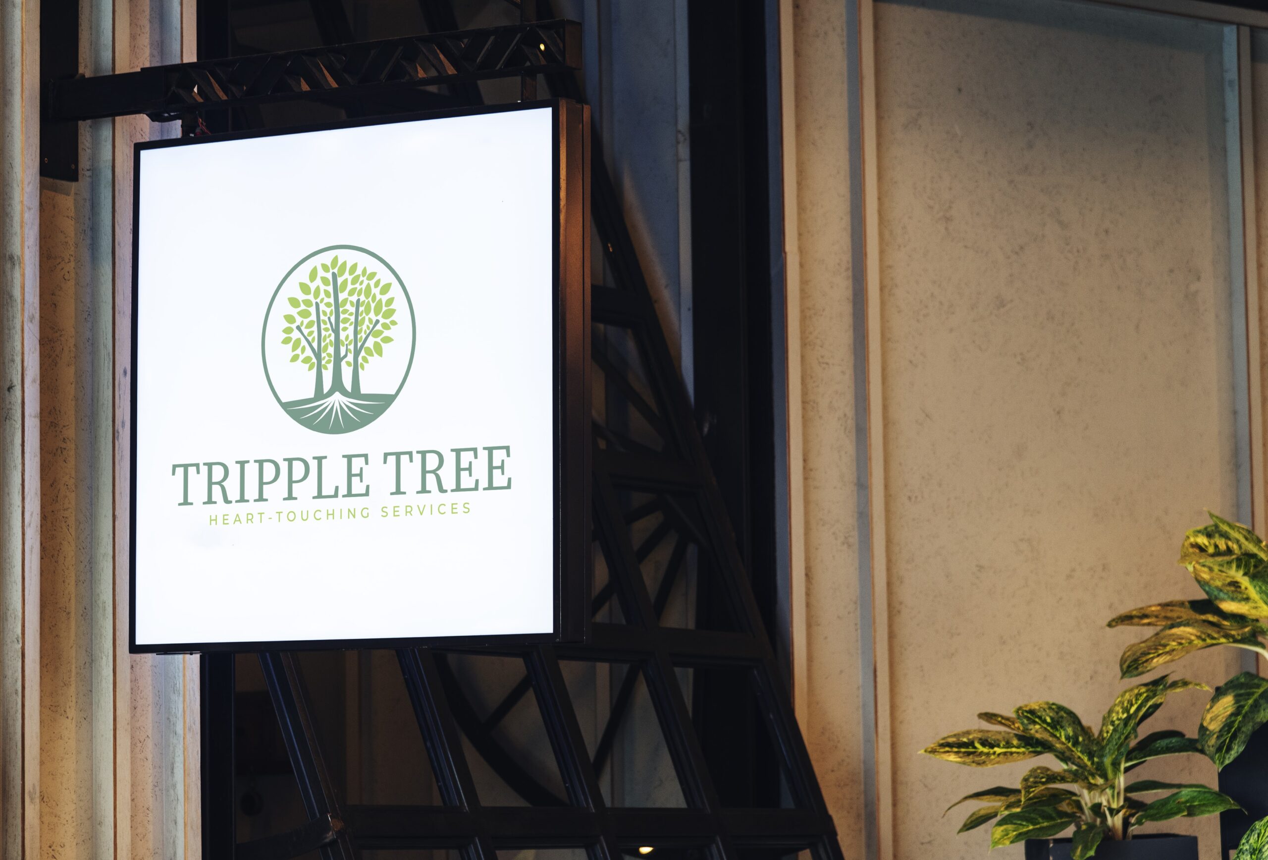 Streetnet thuc hien thiet ke logo cho triple tree